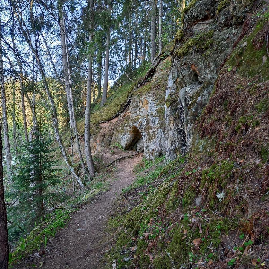 Ozolu Gatve 2- No Cesim 7 Km Apartamento Jānamuiža Exterior foto